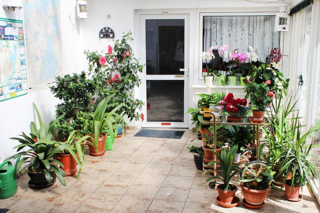 Hotel Pension Kirschstein Wolgast Bagian luar foto